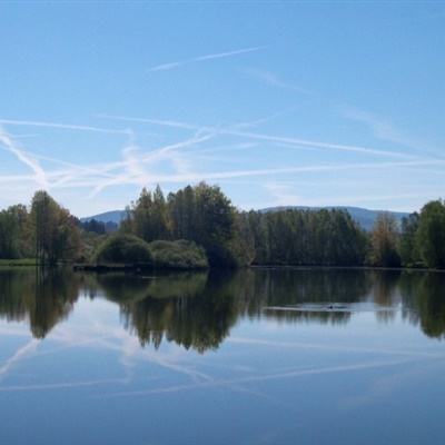 一分三快app手机app下载