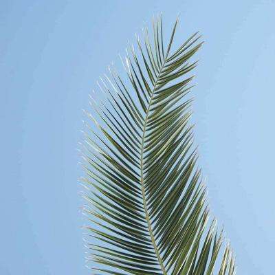 金年会娱乐app官方网站