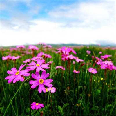 bat365在线官网登录入口